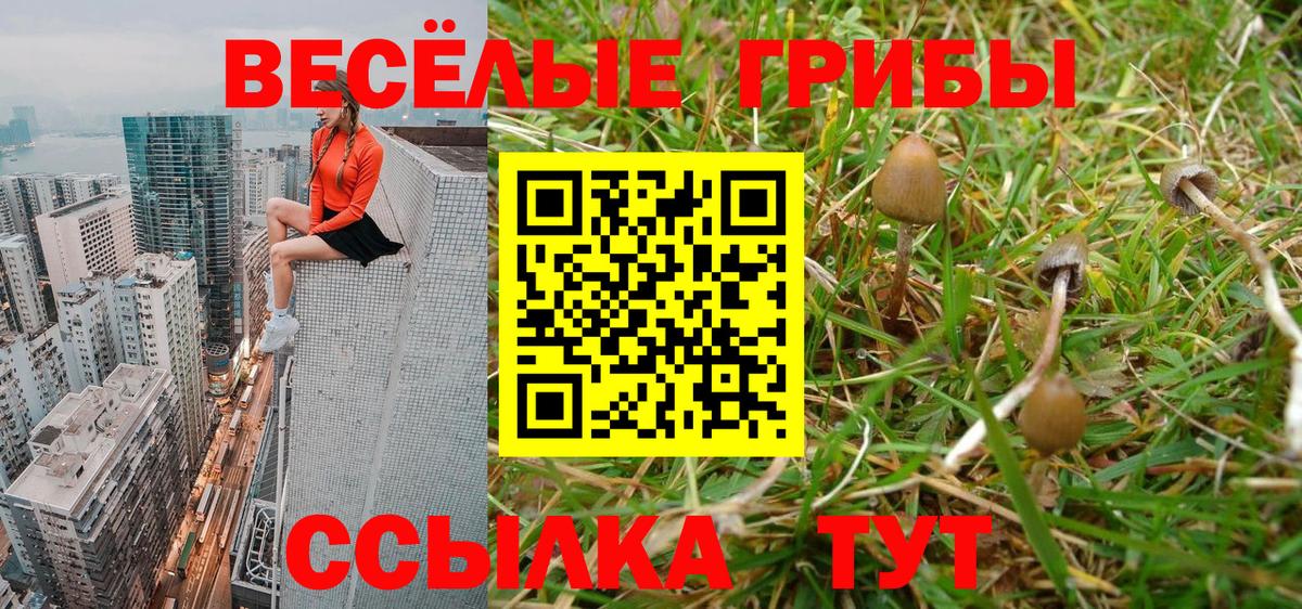 Псилоцибиновые грибы GOLDEN TEACHER Куйбышев