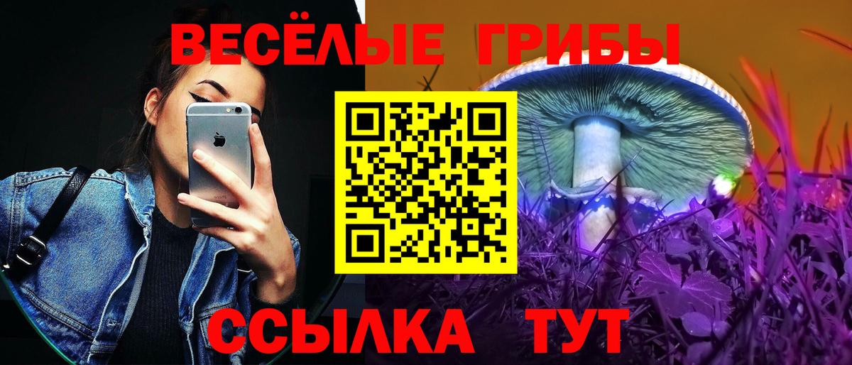 Куйбышев  Псилоцибиновые грибы MAGIC MUSHROOMS  Галлюциногенные грибы MAGIC MUSHROOMS  Вход с VPN 